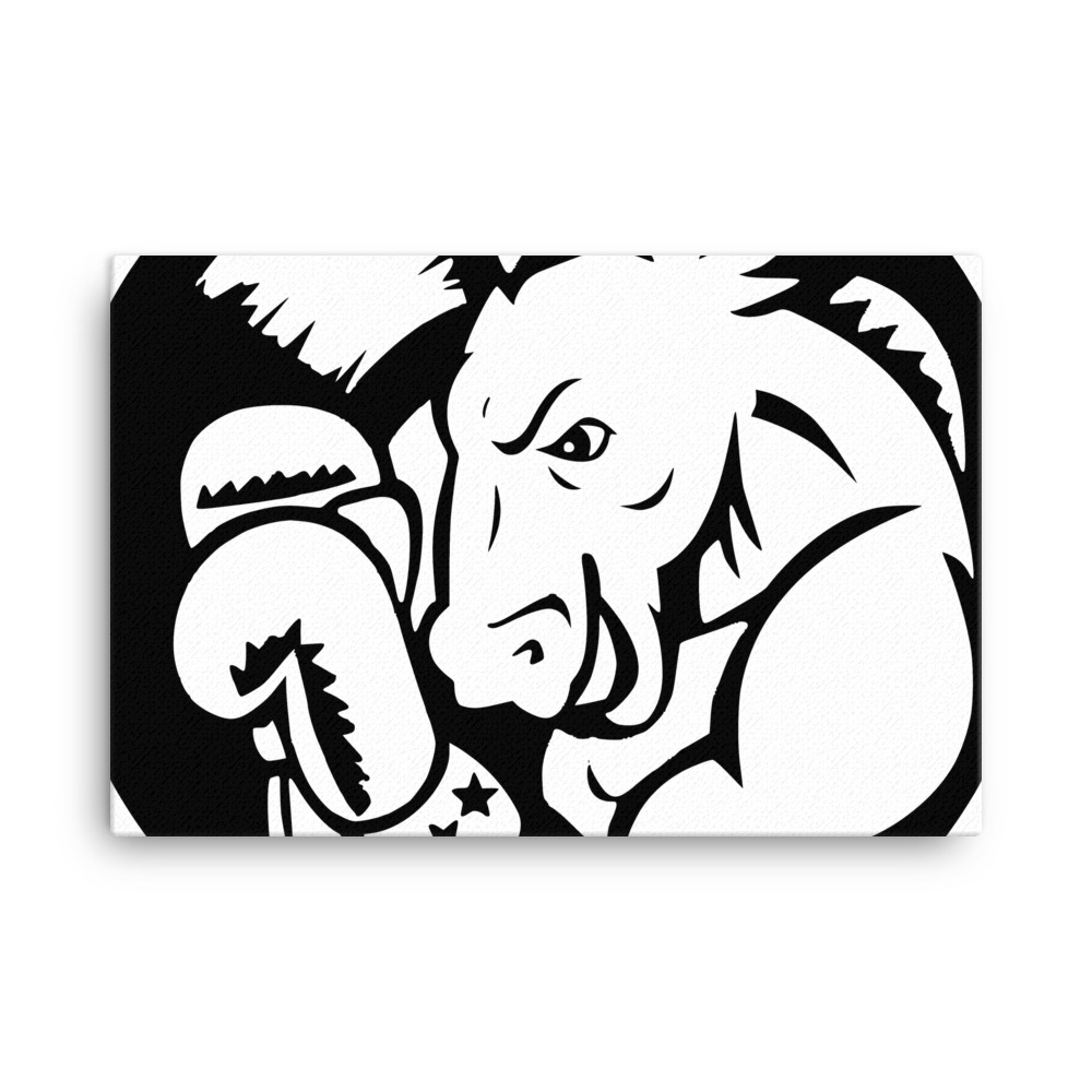 canvas-in-24x36-wall-6559956404bdc.jpg